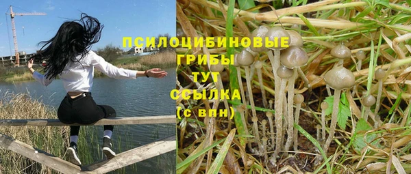 молекула духа Алзамай