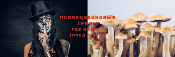 стафф Алексеевка