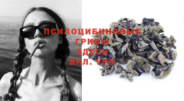 стафф Алексеевка
